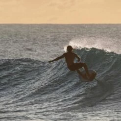 North Sonar SF Series Hydrofoil Wings Discounts Apply ! -Cheap Pyzel Store north2023 sonar sf series foil wings 5